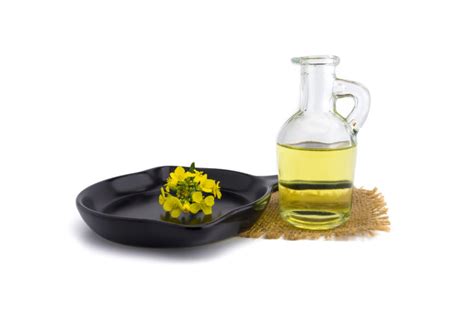 Can You Use Canola Oil to Season a Cast Iron Skillet? - Tastylicious