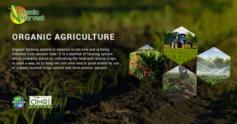 Organic Farming Hd Pictures - Farming Mania