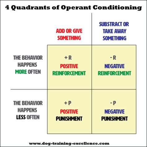 Operant Conditioning main terms Diagram | Quizlet