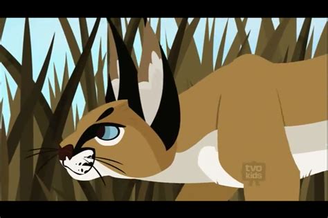 Common Caracal | The Parody Wiki | FANDOM powered by Wikia