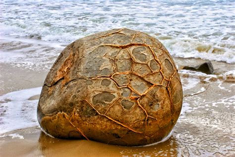 Moeraki Boulders — The Last Adventurer