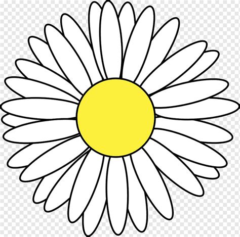 Drawing, daisy, white, face, sunflower png | PNGWing