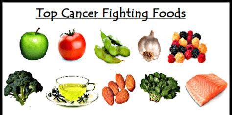 Best Foods that Prevent Cancer: Anti Cancer Foods - HealthZigZag