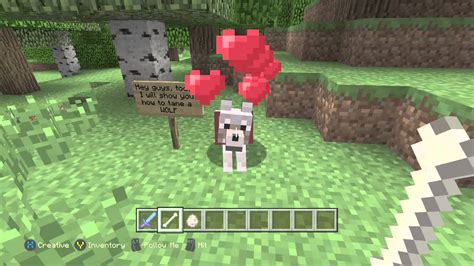 ᐈ How to Tame a Wolf in Minecraft? 🥇 eNews