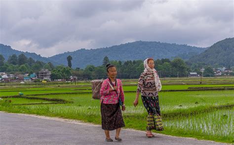 Stories and Postcards from Ziro Valley: Home To The Apatani People