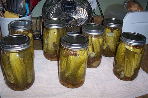 Canning pickles Canning Pickles, Mason Jars, Mason Jar, Glass Jars, Jars