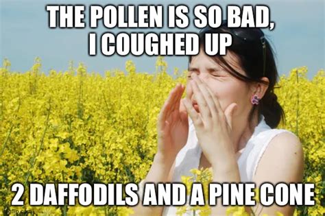 allergies Memes & GIFs - Imgflip