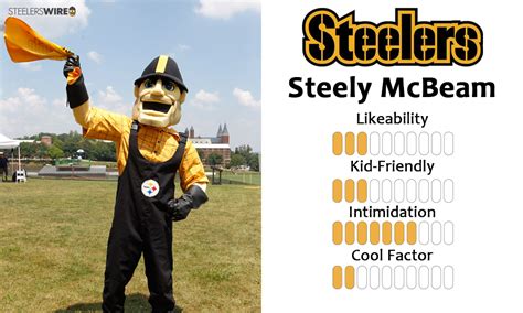 What Does The Steelers Mascot Look Like