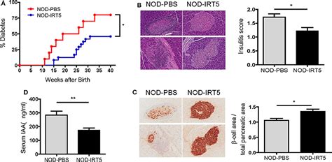 Frontiers | Amelioration of Autoimmune Diabetes of NOD Mice by Immunomodulating Probiotics