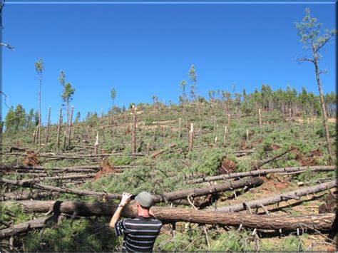 Arizona Tornado Outbreak (2010) – Tornado Talk