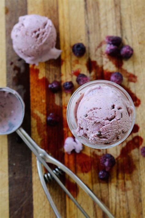 Blueberry Chocolate Chip Greek Yogurt Ice Cream (The Diva-Dish) | Ice ...