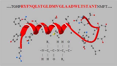 The 3D structure of a protein is uniquely determined by its amino acid... | Download Scientific ...