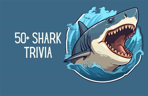 50+ Shark Trivia: From Easy to Hard, Plus Quizzes and Facts - Kids n Clicks