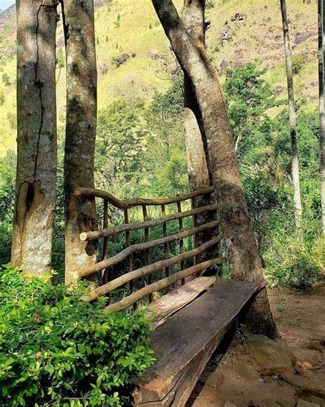 Bambarakanda Falls: Tallest Waterfall In Sri Lanka