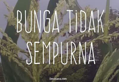 Contoh Bunga Sempurna Dan Tidak Sempurna – Berbagai Contoh