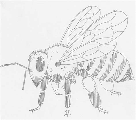 bolsillo Gemidos Aire acondicionado dibujos de abejas a lapiz Florecer Moretón Sala