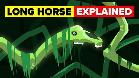 Video Infographic : Long Horse - Explained - Infographic.tv - Number ...