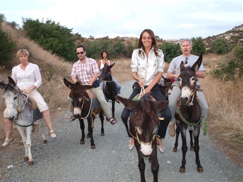 Trip to donkey farm and donkey riding in Cyprus