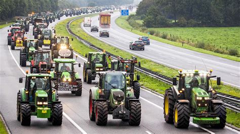 Dutch government takes aim at farmers over emissions - American Experiment