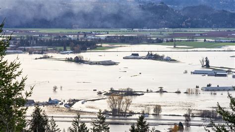 Telus to donate $1 million to BC flood relief efforts