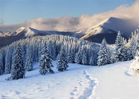 🔥 [74+] Winter Landscape Wallpapers | WallpaperSafari