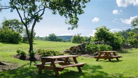 Perfect picnic spot at 868 Vineyards. | Vineyard, Wine trail, Wine country