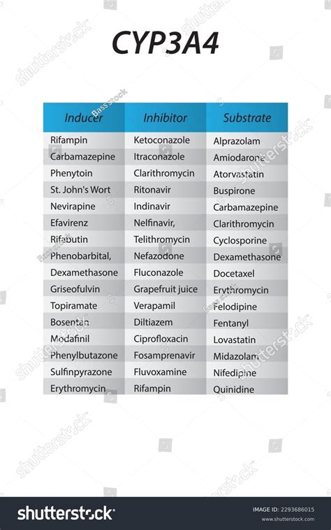 Cytochrome Cyp3a4 Table Inhibitors Inducers Substrates Stock Vector ...