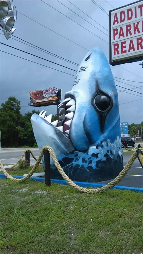 Myrtle Beach souvenir shop attractions! | Beach souvenirs, Myrtle beach, Beach town