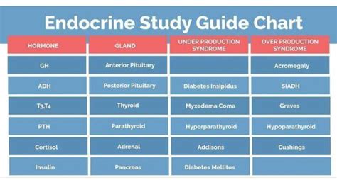 Endocrine disorder study guide | Endocrine system nursing, Nursing ...