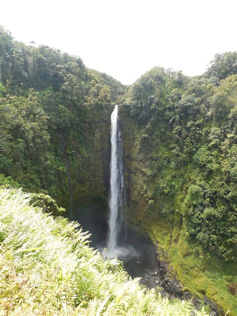 'Akaka Falls | Akaka Falls State Park on the Big Island of H… | Flickr