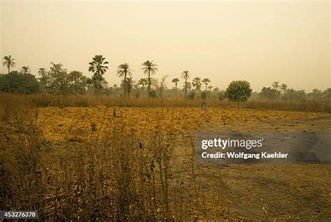 Harmattan Wind Photos and Premium High Res Pictures - Getty Images