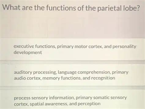 what are the functions of the parietal lobe? | Question AI