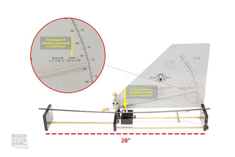 What is the Spine? – Bogensportshop – Blog