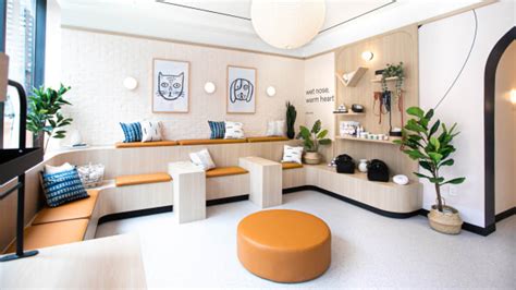 Veterinary Clinic Interior Design Ideas | Psoriasisguru.com