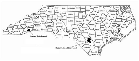 State Forests In North Carolina » Carolina Outdoors Guide