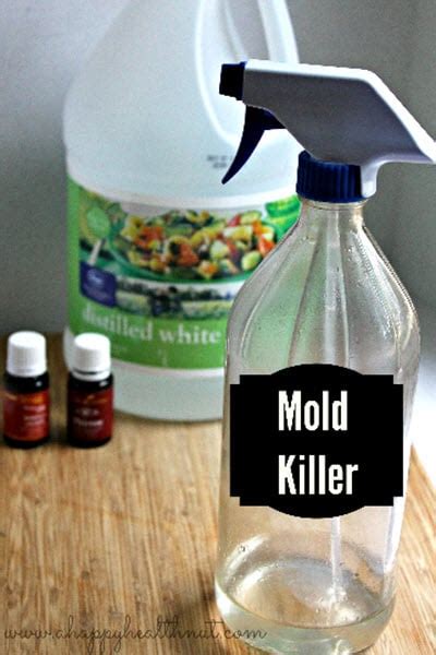 DIY Mold Remover Spray - Homestead & Survival