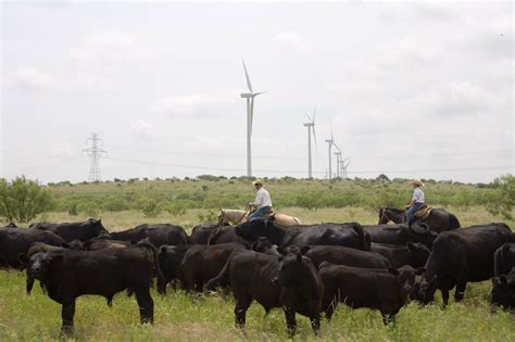 Clean Energy Is Thriving in Texas. So Why Are State Republicans Trying to Stifle It? - Inside ...