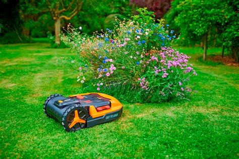 6 Best Robotic Lawn Mowers - Haute Life Hub