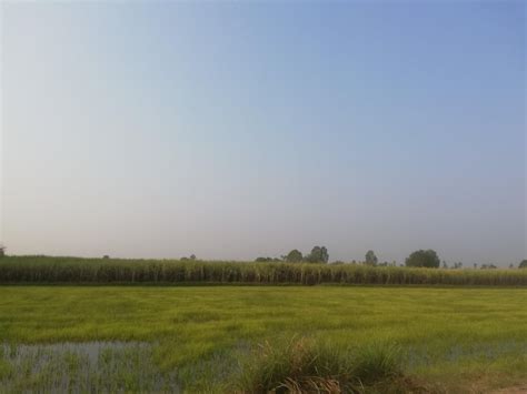 a shot of northern Thailand's rice paddies. : r/homestead