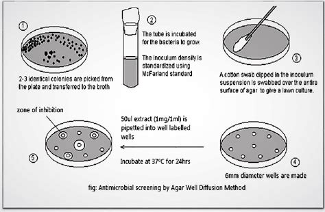 Antimicrobial activity by Agar well diffusion - Chemistry Notes