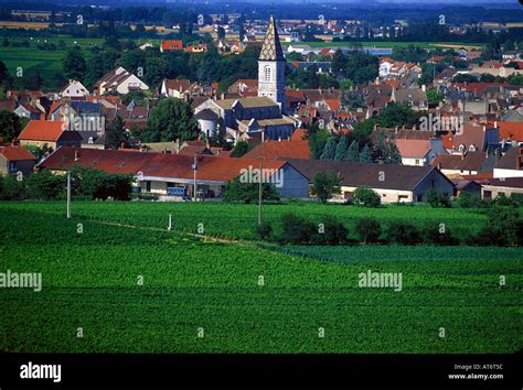 Nuits saint georges hi-res stock photography and images - Alamy