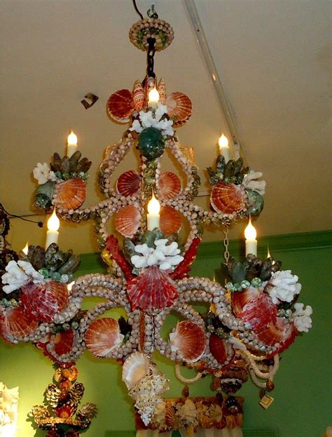 Fantastic Seashell Chandelier | Seashell chandelier, Sea shells, Chandelier