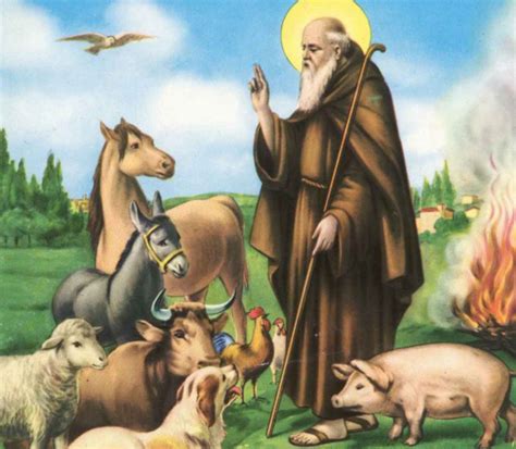 Benedizione degli animali: Sant’Antonio abate il protettore degli animali