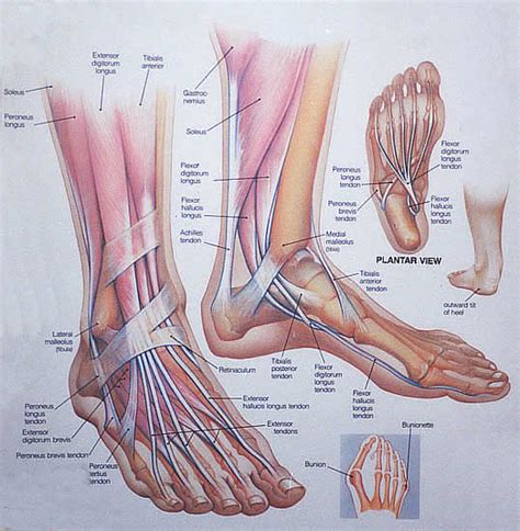 Foot Injury - Workers Compensation Center