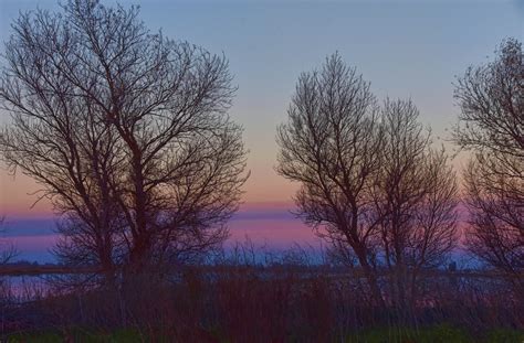 Bare Trees At Sunset Free Stock Photo - Public Domain Pictures