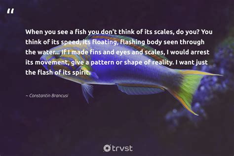 84 Fish Quotes & Sayings About Fish and Marine Life