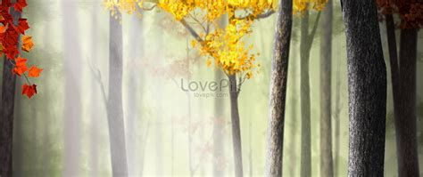 Autumn forest background creative image_picture free download 400351684 ...