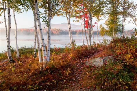 Where to See Fall Foliage This Weekend | 2024 - New England