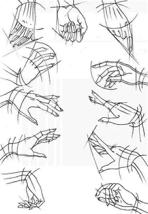 anatomy-drawing-guide-10 – Improve Drawing