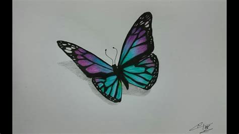 Butterfly Drawings In Pencil Step By Step